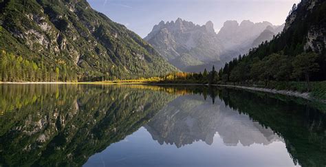  Wähe aus Wildkräutern und Pilzen: Ein Hauch von Herbst im Mund?